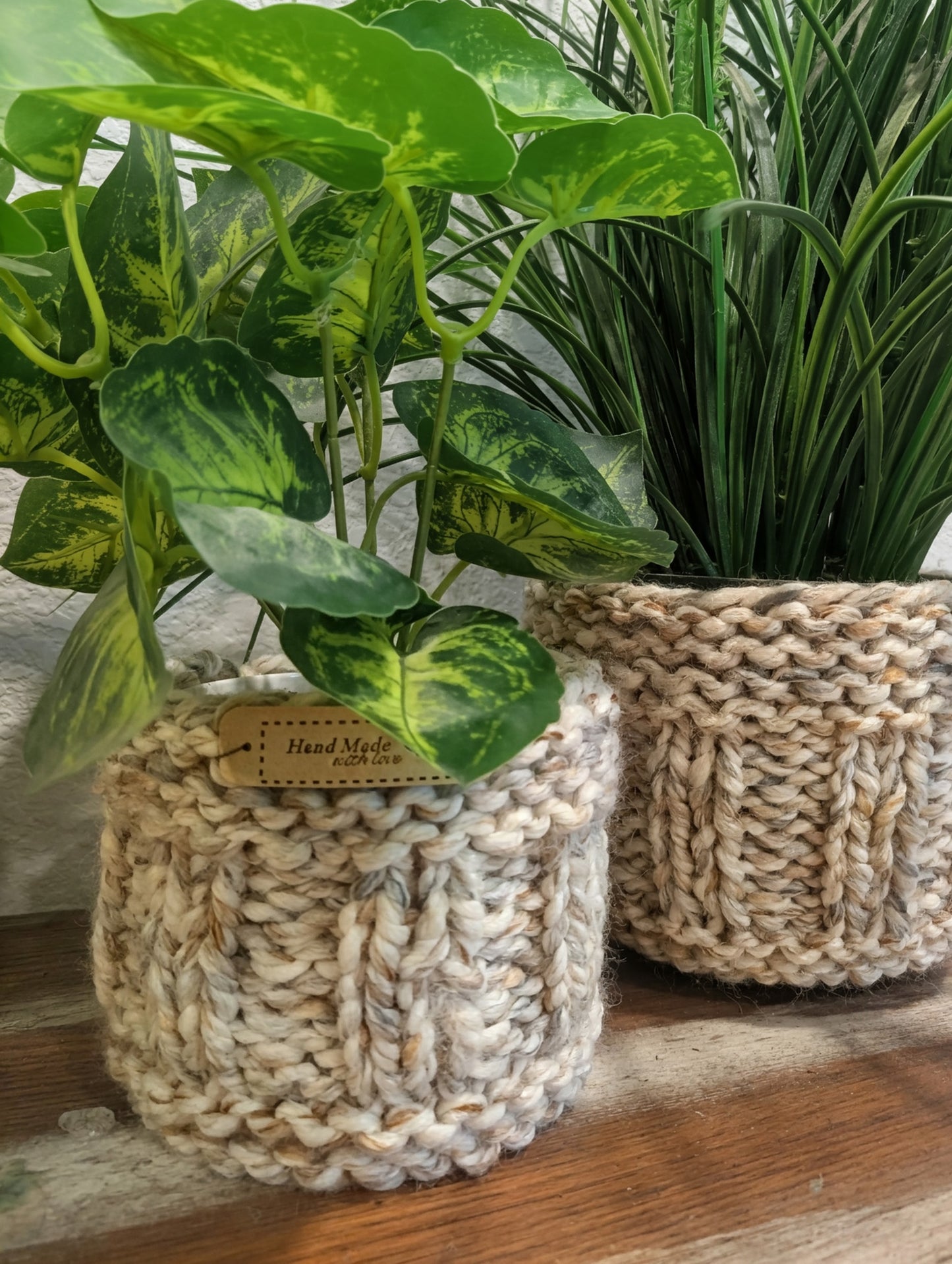 Plant cozy